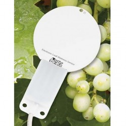 Sensor de Umidade Foliar, Modelo HD-3901.10 - Marca DeltaOHM